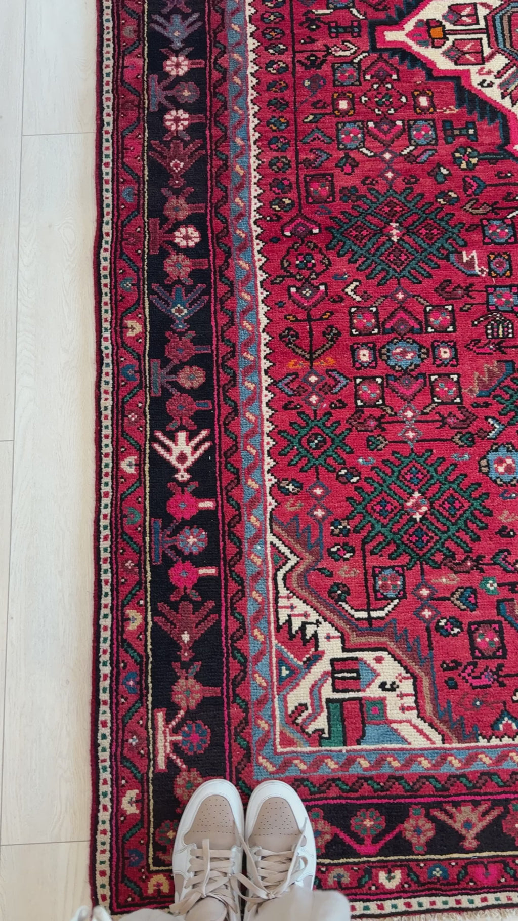 Close-up of Hand-Knotted Vintage Persian Malayer Red Soft Rug corner showing intricate floral border and geometric motifs beside a pair of shoes.